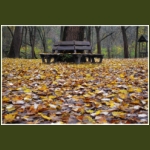 autumn049.jpg