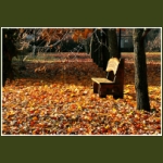 autumn080.jpg