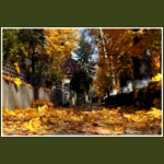 autumn092.jpg